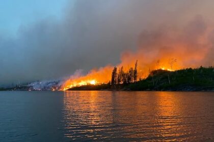 fire-chiefs-call-for-ottawa-to-move-forward-with-national-agency-to-fight-forest-fires