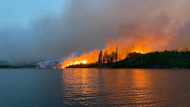 fire-chiefs-call-for-ottawa-to-move-forward-with-national-agency-to-fight-forest-fires