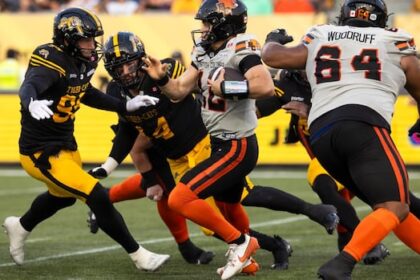 whyte’s-overtime-field-goal-earns-lions-41-38-victory-over-ticats