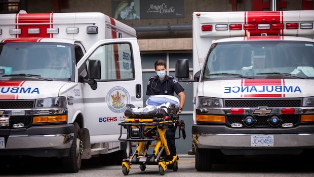 union-calls-for-better-support-for-paramedics-amid-‘profound-mental-health-crisis’
