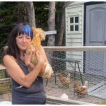 flying-the-coop:-ochre-pit-cove-woman-gets-unexpected-help-evacuating-with-28-chickens