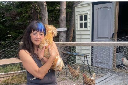 flying-the-coop:-ochre-pit-cove-woman-gets-unexpected-help-evacuating-with-28-chickens