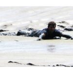 residents,-marine-response-group-save-dolphins-stranded-near-canning,-ns.