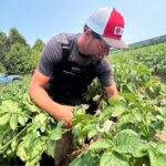 hot,-dry-weather-continues-in-pei.-amid-burning-restrictions