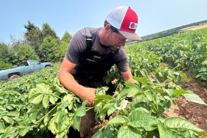 hot,-dry-weather-continues-in-pei.-amid-burning-restrictions