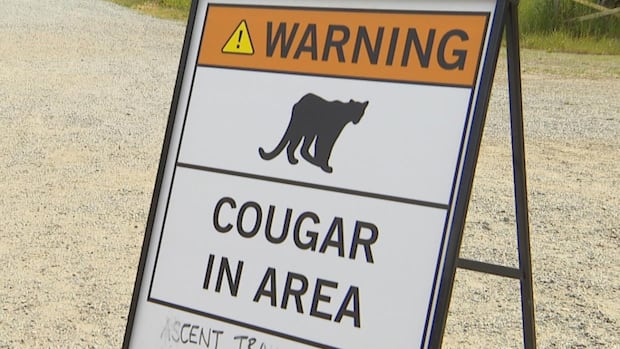 another-cougar-warning-issued-after-mountain-biker-attacked-near-squamish,-bc.