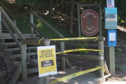is-nova-scotia-going-too-far-by-banning-people-from-woods-during-dry-weather?-some-think-so