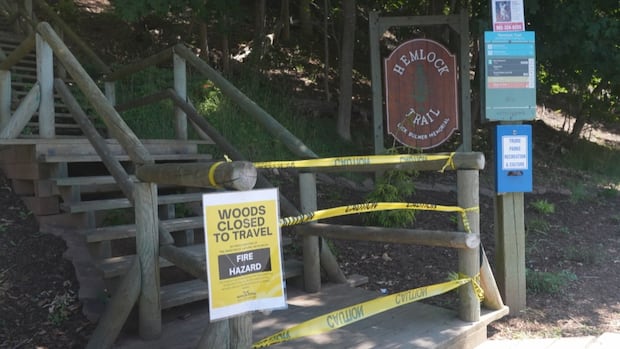 is-nova-scotia-going-too-far-by-banning-people-from-woods-during-dry-weather?-some-think-so