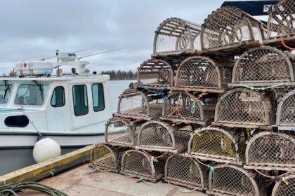monday-confirmed-as-opening-day-for-northumberland-strait-fall-lobster-fishery