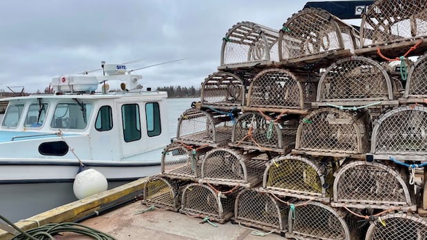 monday-confirmed-as-opening-day-for-northumberland-strait-fall-lobster-fishery