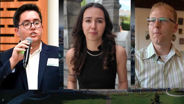 meet-the-3-people-vying-to-lead-the-bc.-green-party