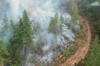 heat-warnings-issued-for-large-sections-of-southern-bc.
