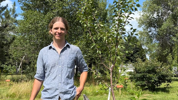 food-forests-offer-way-to-address-food-insecurity-and-also-have-fun