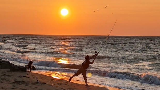 sunset-silhouettes:-enjoy-these-photos-from-around-new-brunswick
