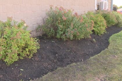 charlottetown-fire-department-warns-of-summer-mulch-fire-risk-after-recent-blaze