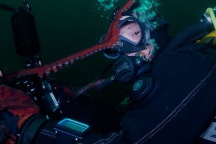 giant-pacific-octopus-shoots-video-of-itself-after-claiming-camera-from-bc.-divers