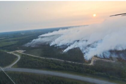 heat-warning-in-effect-for-nearly-all-of-new-brunswick-as-dry-conditions-continue