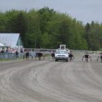 harness-racing:-louie-the-lip-captures-rich-colt-stake-at-cape-breton’s-northside-downs