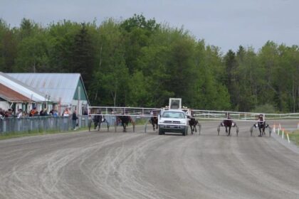 harness-racing:-louie-the-lip-captures-rich-colt-stake-at-cape-breton’s-northside-downs