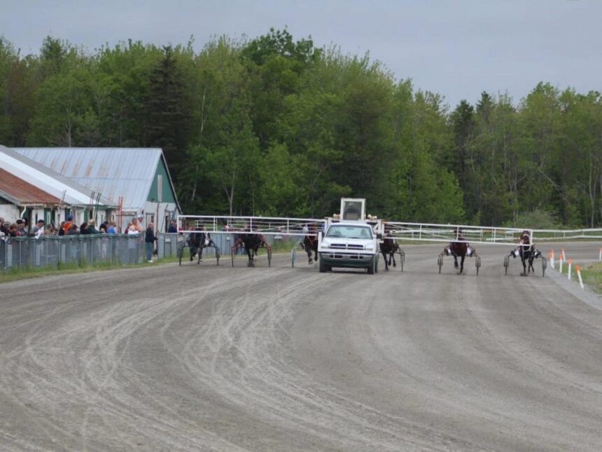 harness-racing:-louie-the-lip-captures-rich-colt-stake-at-cape-breton’s-northside-downs
