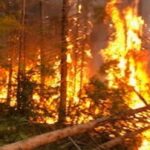 new-brunswickers-are-being-asked-to-stay-out-of-the-woods.-but-what-does-that-look-like?