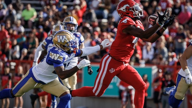 last-second-field-goal-boots-stampeders-to-28-27-victory-in-tight-game-against-blue-bombers