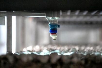 bc.-mushroom-picking-robots-get-$40m-boost-to-fill-growing-agricultural-labour-shortage