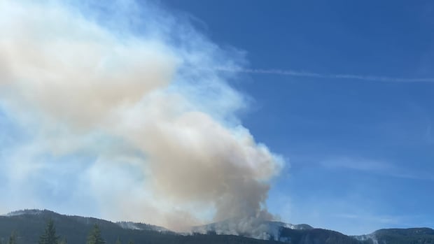 heat-warnings-continue-for-southern-bc.-and-vancouver-island