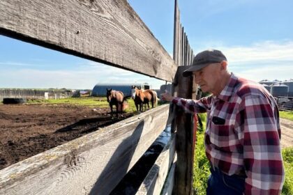 as-pierre-poilievre-tries-to-win-seat-in-alberta,-some-farmers-in-the-riding-feel-conflicted