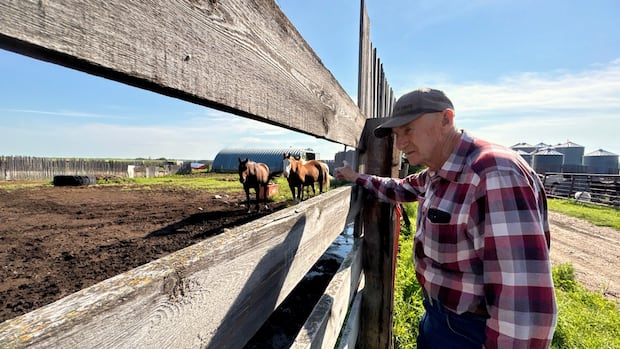 as-pierre-poilievre-tries-to-win-seat-in-alberta,-some-farmers-in-the-riding-feel-conflicted
