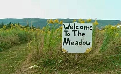 cape-breton-flower-farm-creates-climate-change-resiliency-plan
