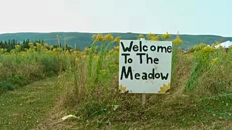 cape-breton-flower-farm-creates-climate-change-resiliency-plan