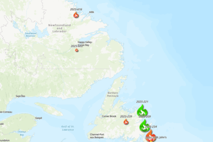 developing:-fire-break-work-continues-to-battle-growing-nl-wildfire-in-kingston-aug.-11