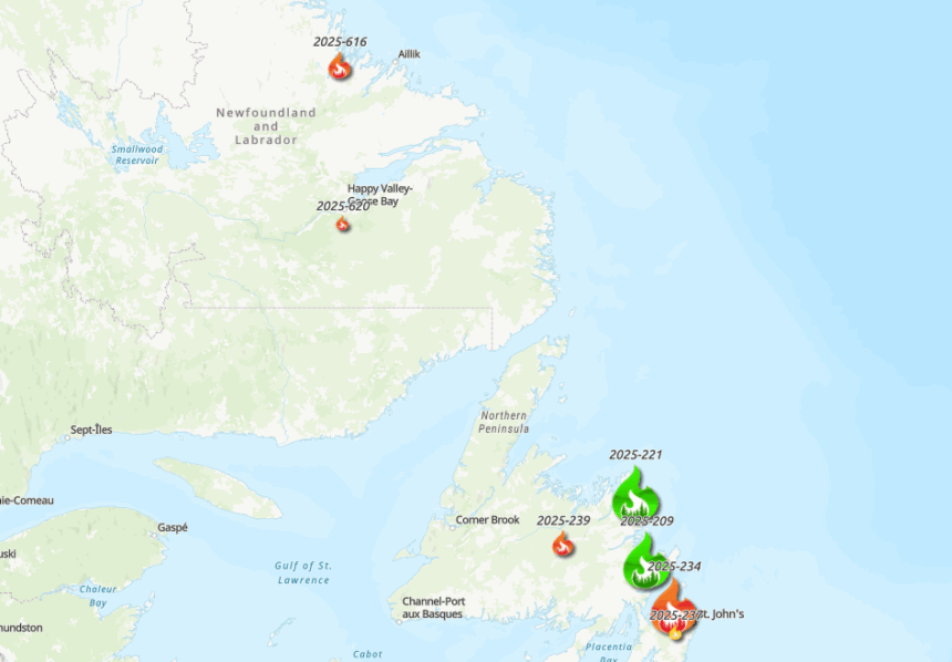 developing:-fire-break-work-continues-to-battle-growing-nl-wildfire-in-kingston-aug.-11