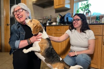 winnipeg-school-division-sees-spike-in-international-students,-including-some-who-planned-to-study-in-us.