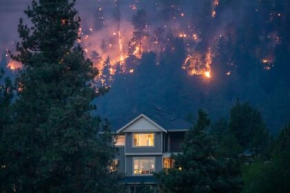 how-to-effectively-prepare-for-a-wildfire-evacuation