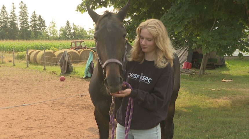 how-do-you-like-these-apples?-young-prince-edward-islander-taking-her-science-project-to-abu-dhabi