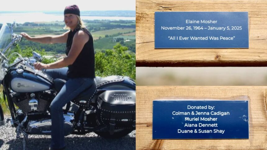 memorial-bench-in-mahone-bay-in-honour-of-elaine-mosher