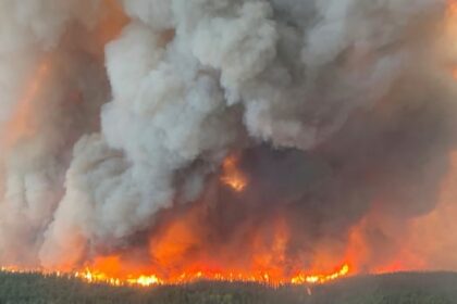 this-is-our-second-worst-wildfire-season-on-record-and-could-be-the-new-normal