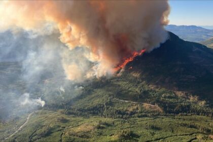 up-to-300-people-evacuated-from-vancouver-island-campground-for-rapidly-growing-wildfire