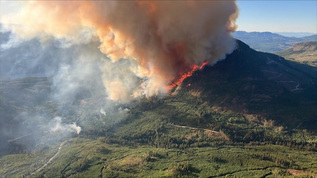 up-to-300-people-evacuated-from-vancouver-island-campground-for-rapidly-growing-wildfire