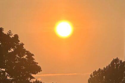 pei.-sees-hottest-daily-temperatures-in-decades-as-heat-warning-continues