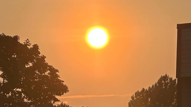 pei.-sees-hottest-daily-temperatures-in-decades-as-heat-warning-continues