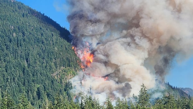 wildfire-south-of-port-alberni,-bc.,-grows-aggressively,-knocking-out-power-for-hundreds