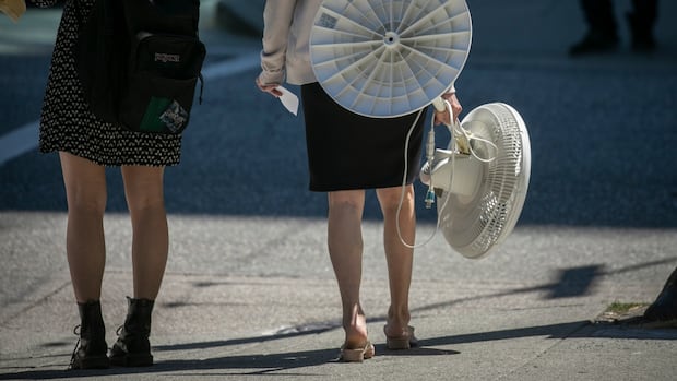 heat-warnings-continue-in-southern-bc.-as-temperatures-soar-into-low-30s