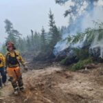 wildfire-outside-moncton-shrank-tuesday,-but-residents-remain-wary