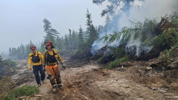 wildfire-outside-moncton-shrank-tuesday,-but-residents-remain-wary