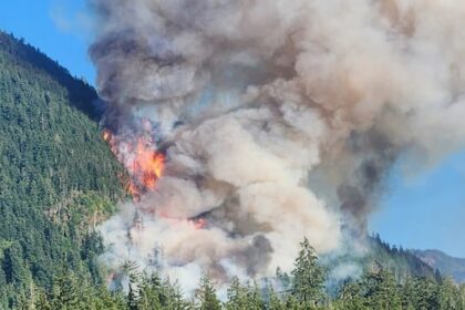 2-sask.-first-nations-get-wildfire-research-funding