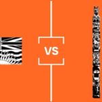 search-for-bc’s-best-symbol:-semifinal-2-totem-poles-vs-bc.-flag