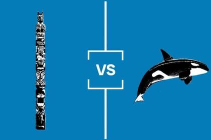 search-for-bc’s-best-symbol:-championship-final-totem-poles-vs.-orcas